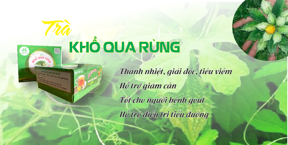 Trà khổ qua rừng